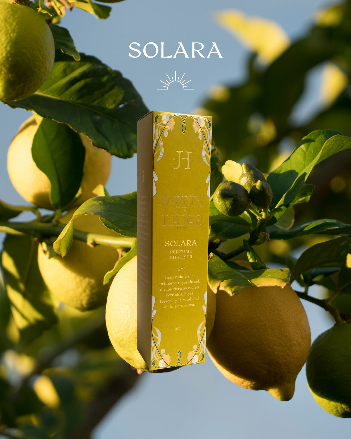 Difusor de varillas Solara