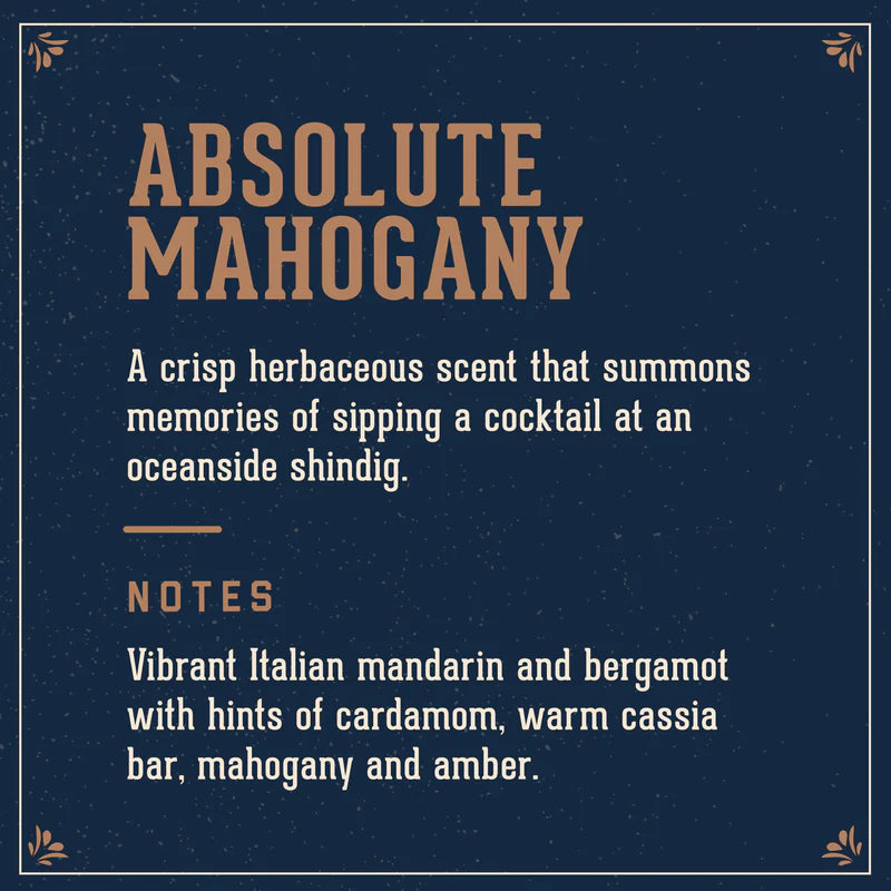 Absolute Mahogany Man Made Wash 532ml