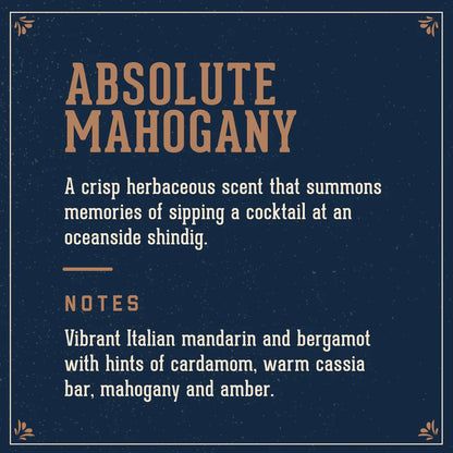 Absolute Mahogany Man Made Wash 532ml