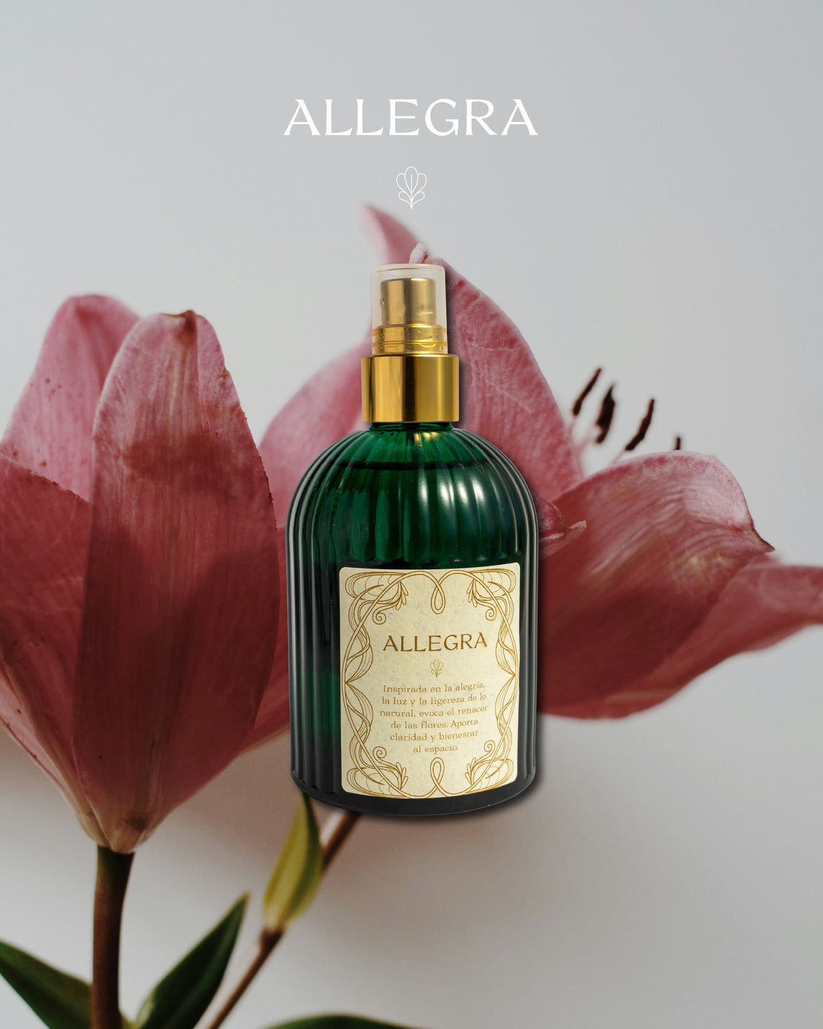 Home Perfume Allegra