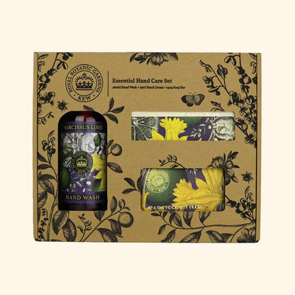 Gift Box Narcissus Lime