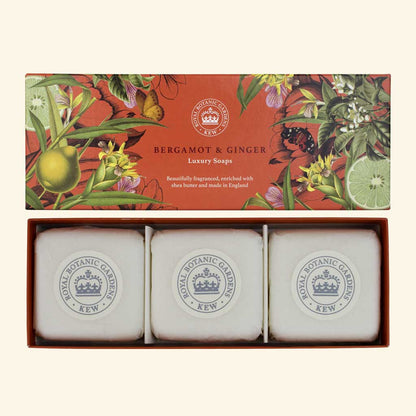 Set 3 jabones Bergamot & Ginger