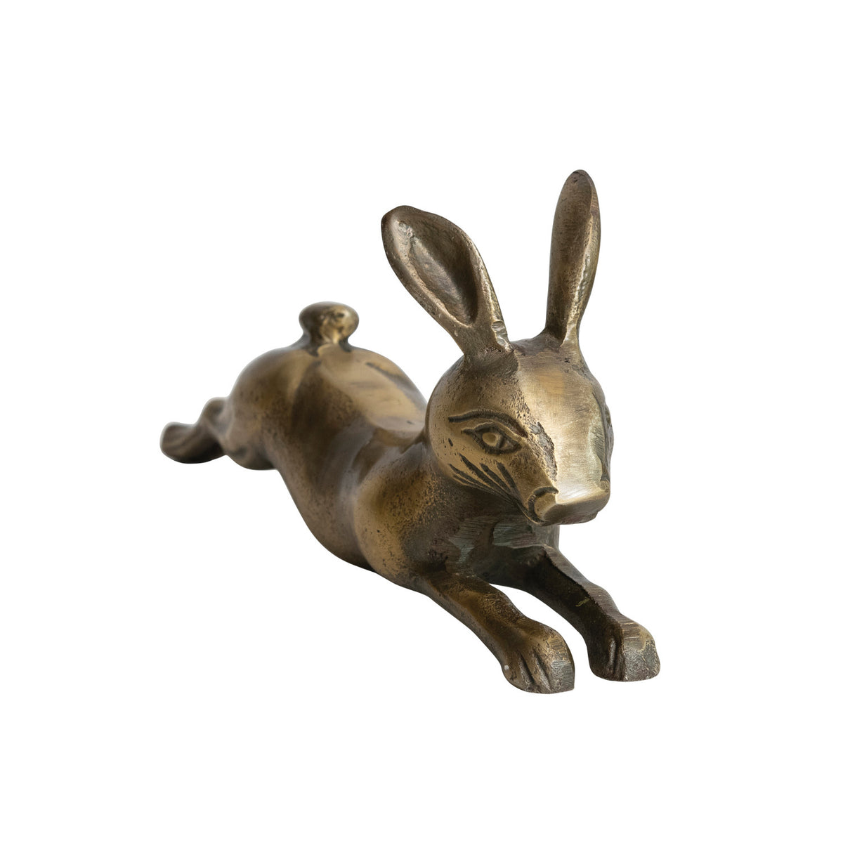 Conejo dorado