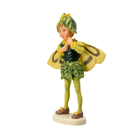 Hada Flower Mini Boxwood