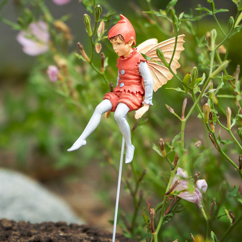 Hada Flower Little Elf