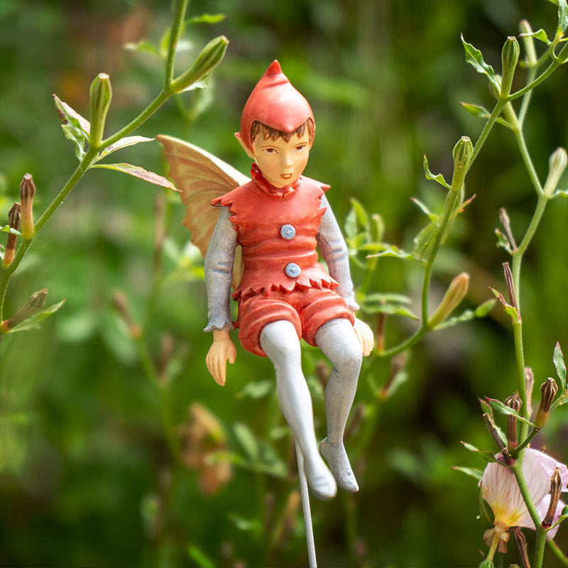 Hada Flower Little Elf
