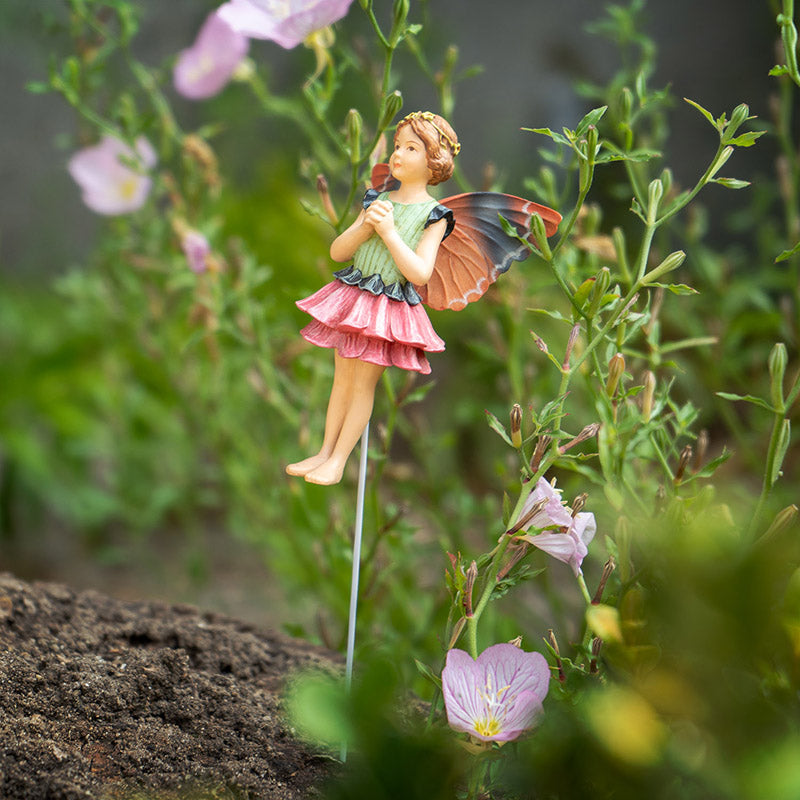 Hada Flower Zinnia para jardin