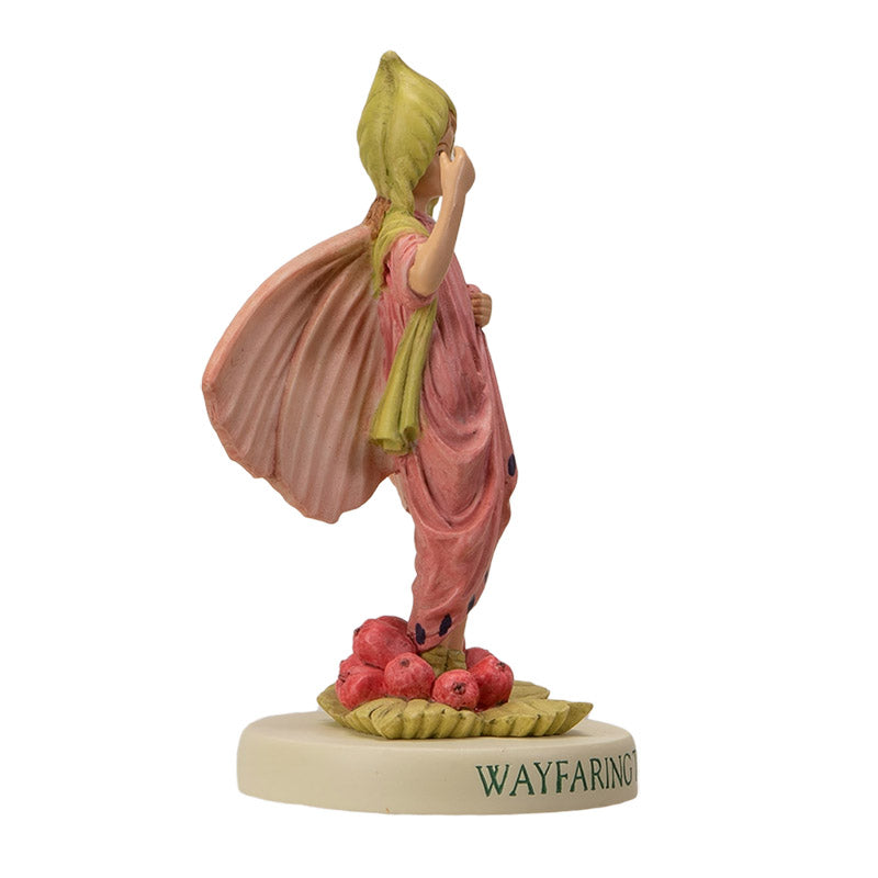 Hada Flower Wayfaring Tree