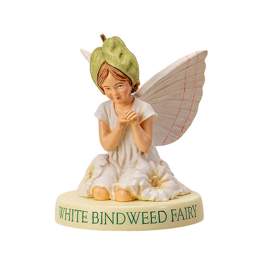 Hada Flower White Bindweed