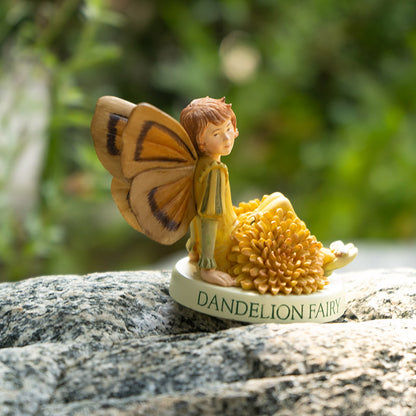 Hada Flower Dandelion