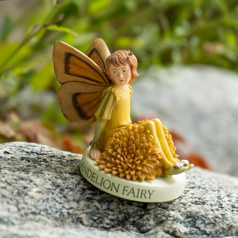 Hada Flower Dandelion